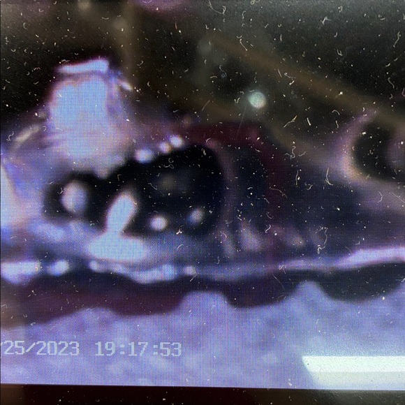 Silver Turquoise Ring - Picture 6 of 7